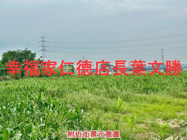 台南善化農地-8