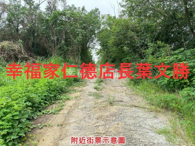 善化農地-9