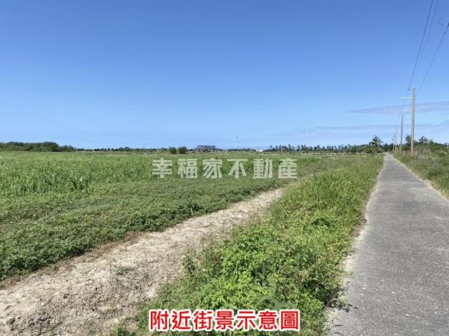 七股農地-11