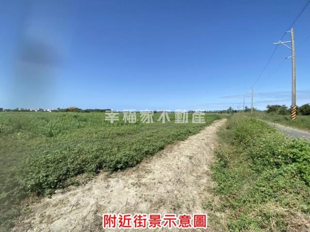 七股農地-13