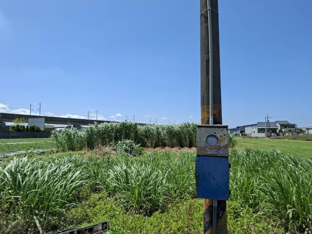 歸仁農地-7