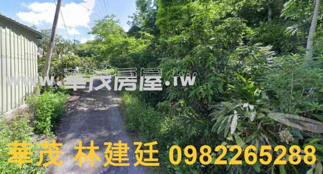 玉井農地拍賣-1