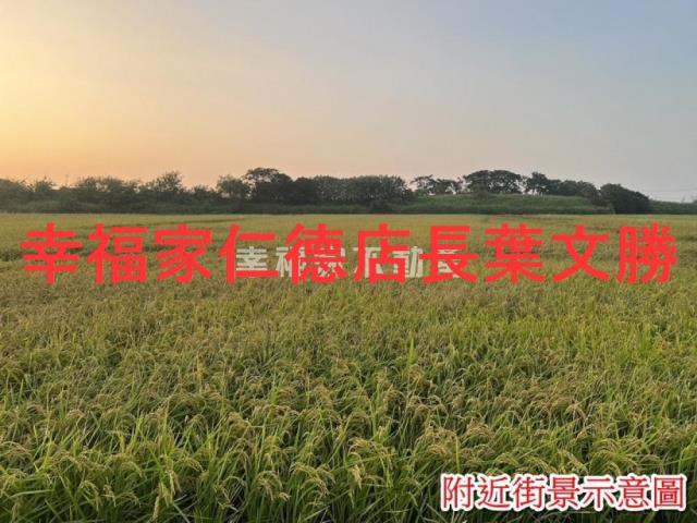 台南農地-8