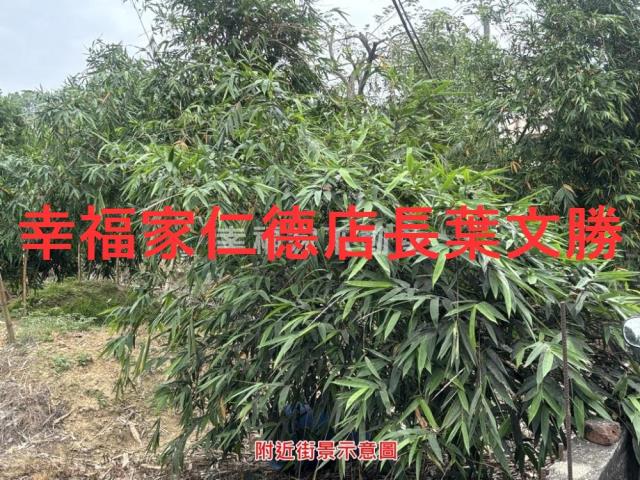 台南農地-1