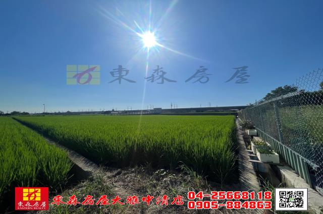 台中神岡農地-2