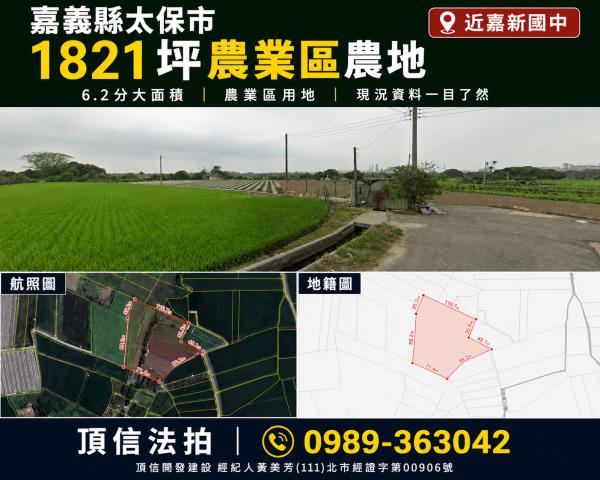 太保法拍農地-1