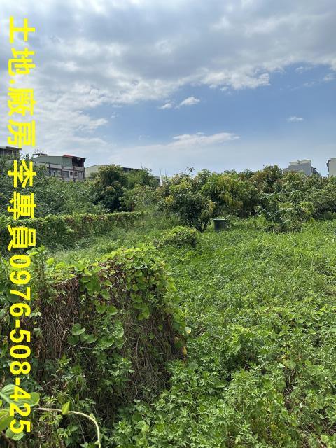 高雄林園住宅地-4