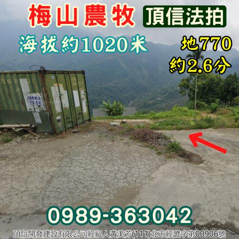 嘉義梅山農地拍賣-1