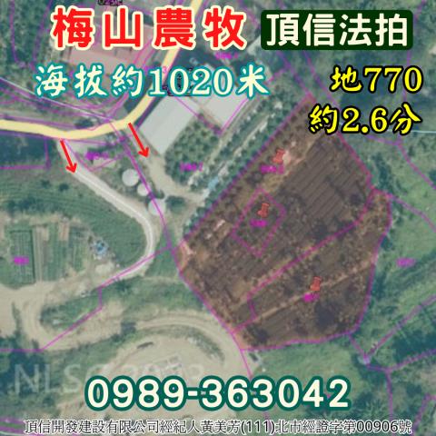嘉義梅山農地拍賣-4