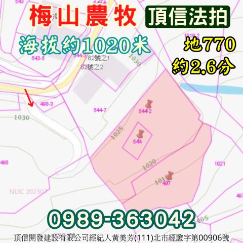 嘉義梅山農地拍賣-5