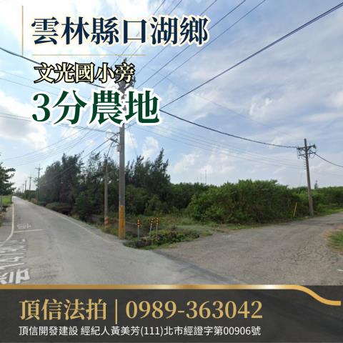 口湖農地拍賣-1