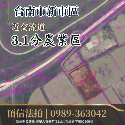台南新市拍賣農地-3
