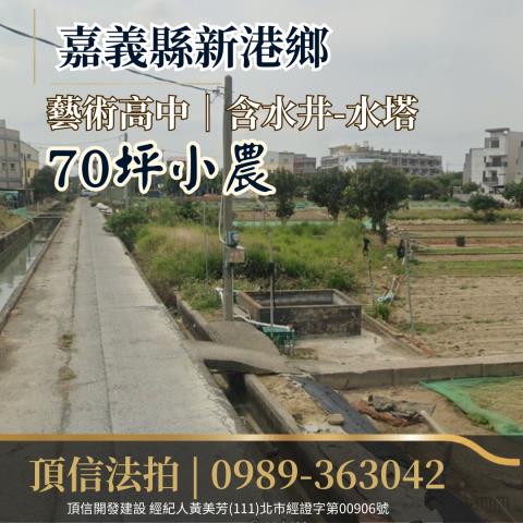 嘉義新港法拍農地-1