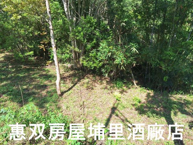南投埔里農地-4
