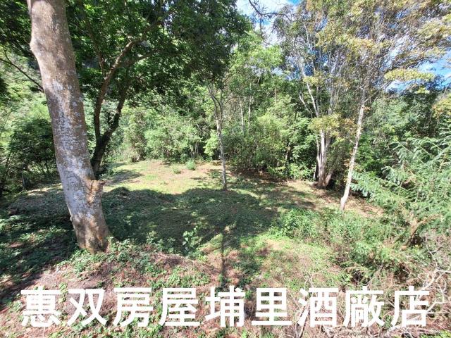 南投埔里農地-5