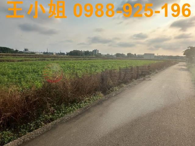 大園農地-4