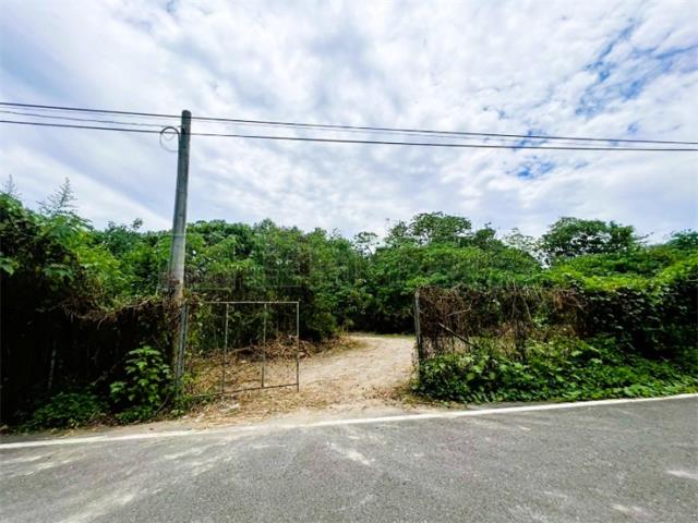 竹田農地-5