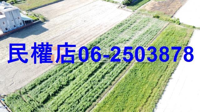 台南新化農地-10