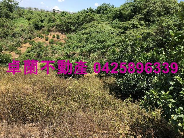 苗栗卓蘭農地-3