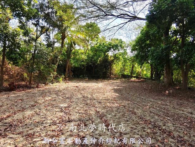 台南左鎮農地-5