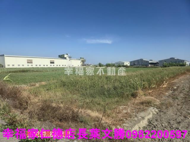 安定農地-12