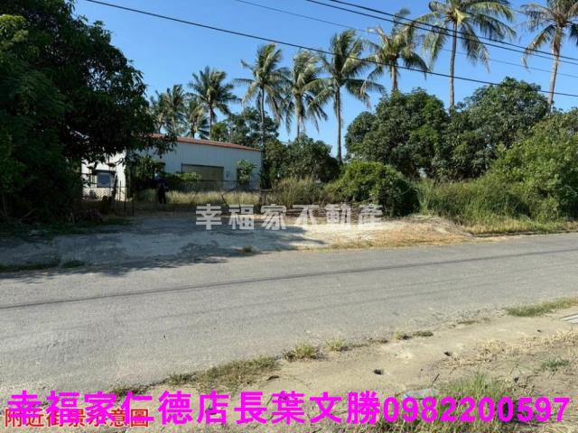 仁德農地-14