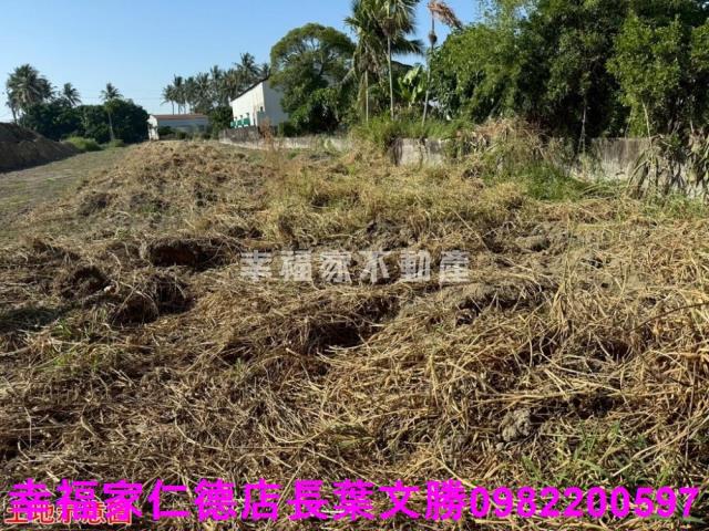 仁德農地-21
