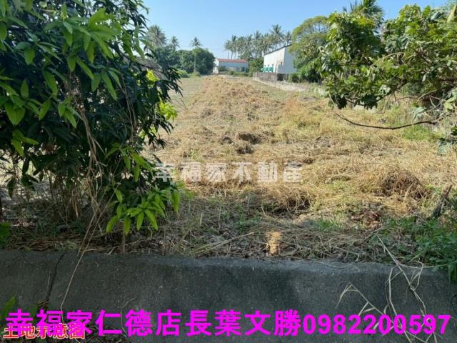 仁德農地-8