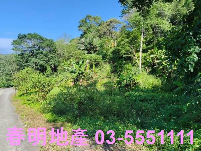 北埔農地-12