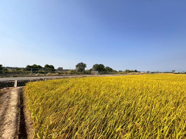 嘉義農地-6