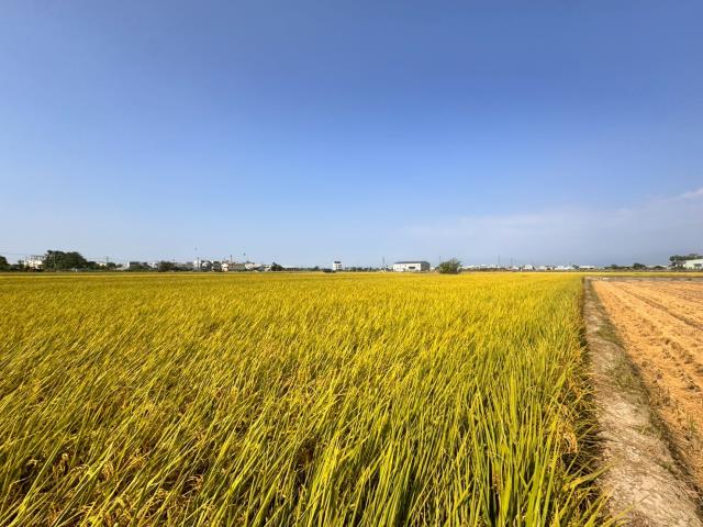 嘉義農地-8