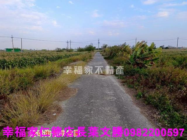 台南農地-8
