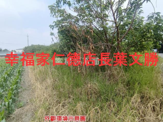 台南建地-29