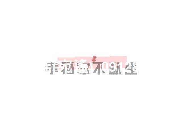 台南安平建地-2