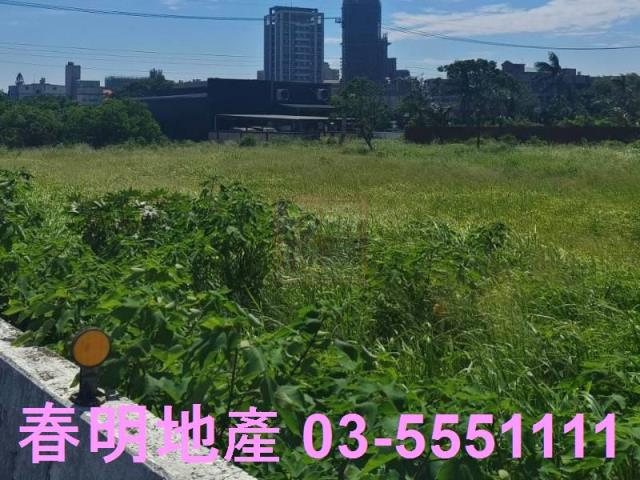 新竹新豐農地-4