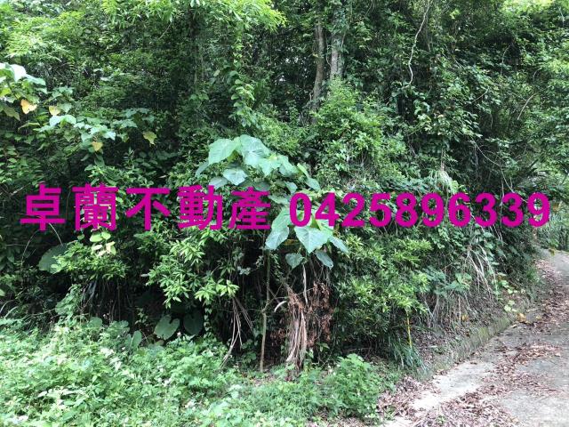 苗栗卓蘭農地-2