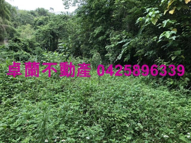 苗栗卓蘭農地-3