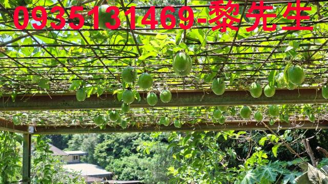 新竹峨眉林地-14