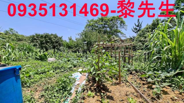 新竹峨眉林地-15