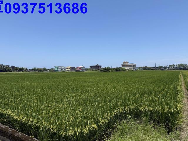 宜蘭礁溪農地-1