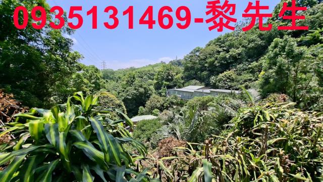 峨眉林地-8