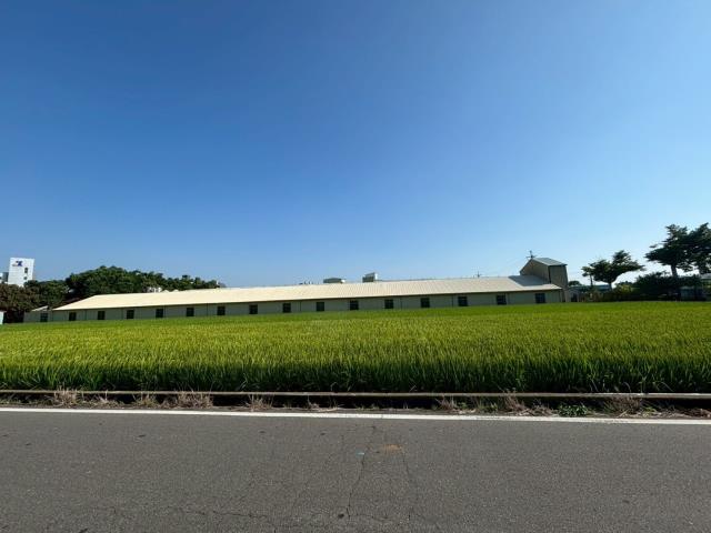 大雅農地-6