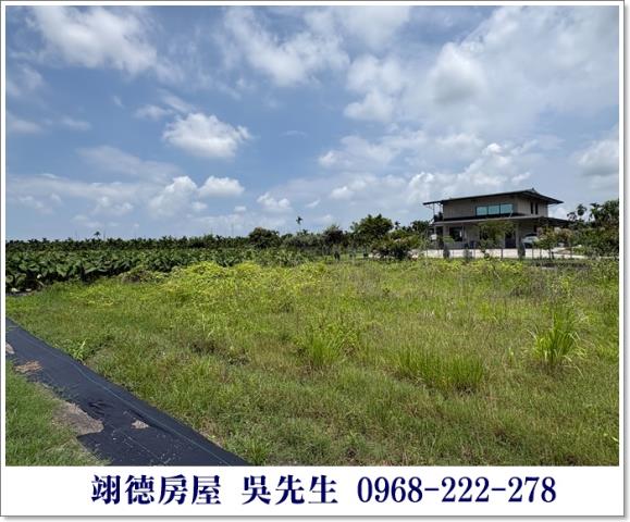 高樹農地-4