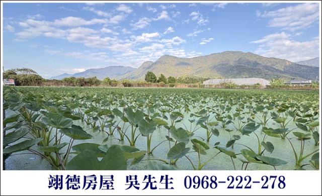 高樹農地-10