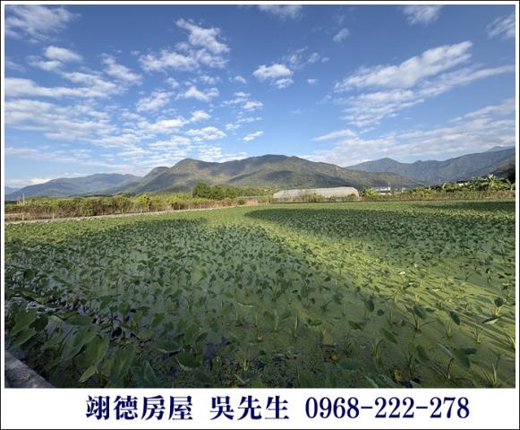 高樹農地-11
