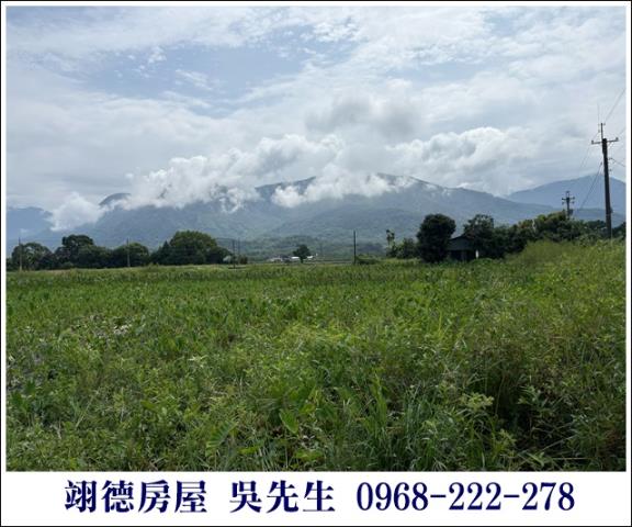高樹農地-5