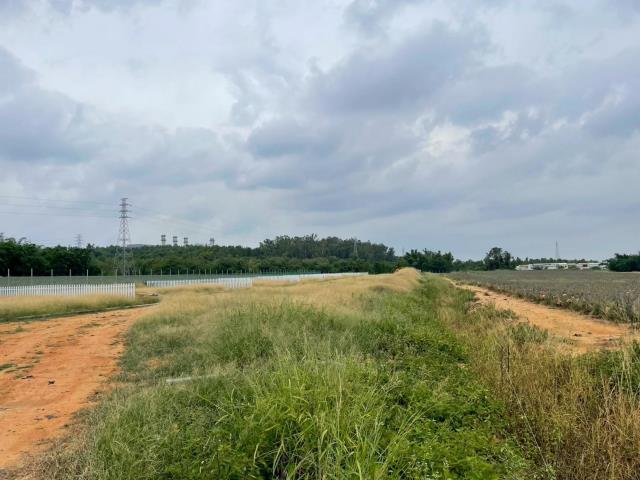 民雄農地-4