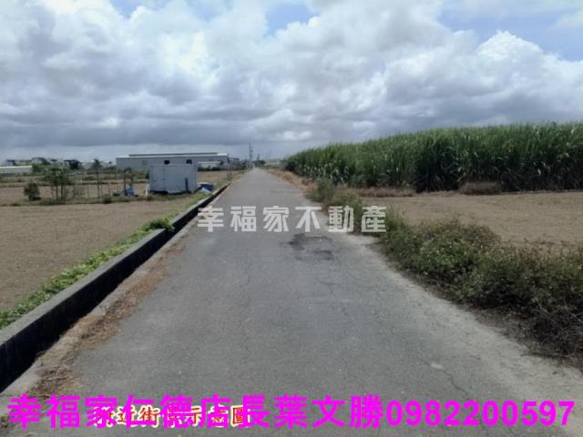 佳里農地-21