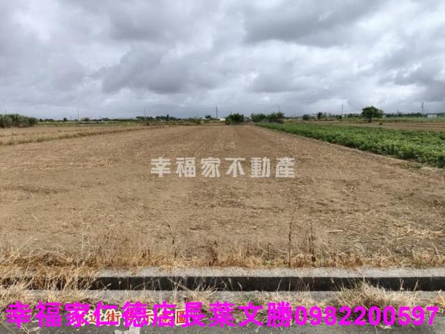 佳里農地-24