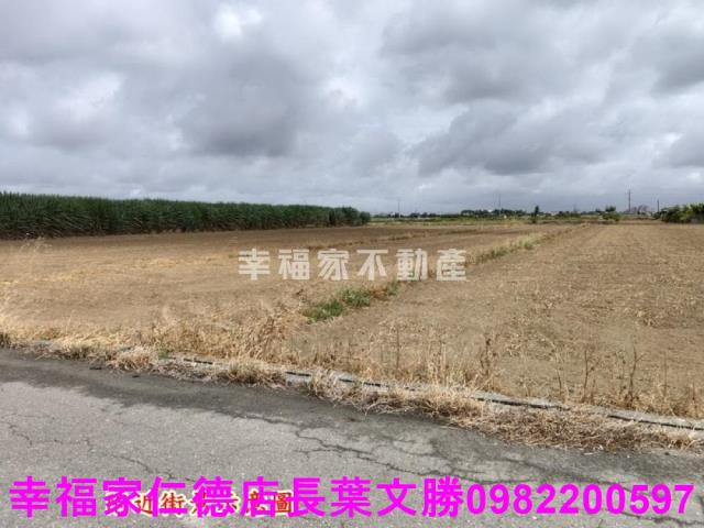 佳里農地-9